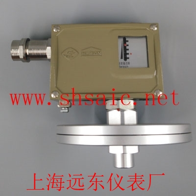 上海自動化儀表有限公司-0816608 D505/7DZ雙觸點壓力控制器(1)