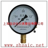 上海自動化儀表廠-Y-100B-F不銹鋼耐震壓力表
